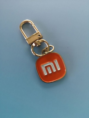 Metal keychain with carabiner new