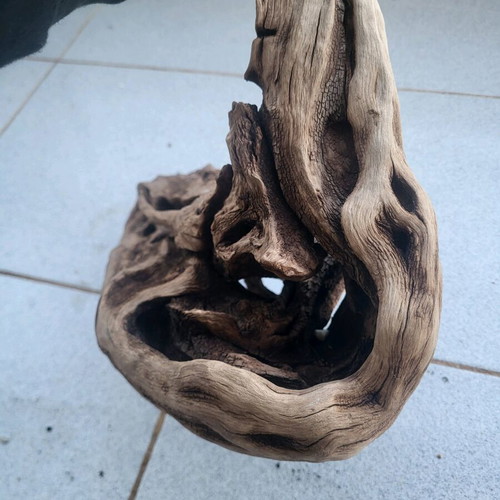 Large Amazon aquarium root used