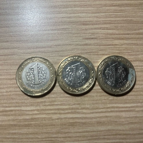 Turkish lira coin new, rare
