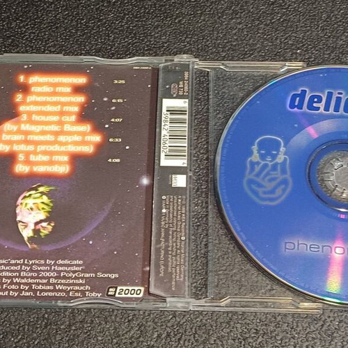 Delicate Phenomenon CD used, House Pop Rap
