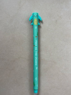 Erasable pen new no-name with designs