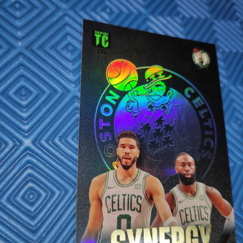 Panini Top Class NBA Synergy Basketball Cards set of 2, like new