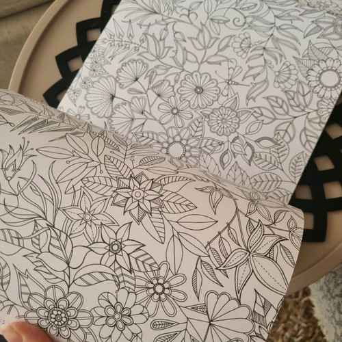 Secret Garden Coloring Book like new