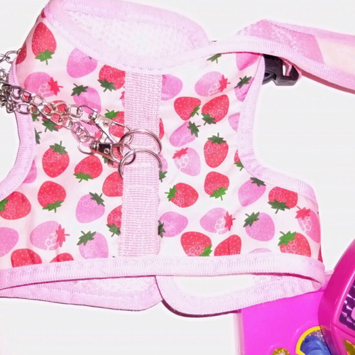Strawberry leash used for cat or small dog