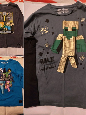 Minecraft Μπλούζες Μακρυμάνικες