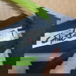  Chaton crop Πουκάμισο