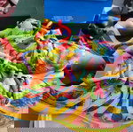  ΣΠΑΝΙΑ ΓΥΝΑΙΚΕΙΑ Παπούτσια Τρεξίματος New Balance Wacky Wild, Μέγεθος 38  Πολύχρωμα