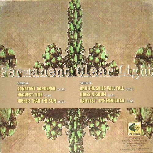 Permanent Clear Light Beyond These Things 2015 mint, rock