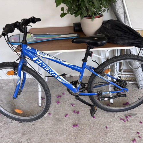 Two mountain bikes used for elementary and middle school kids