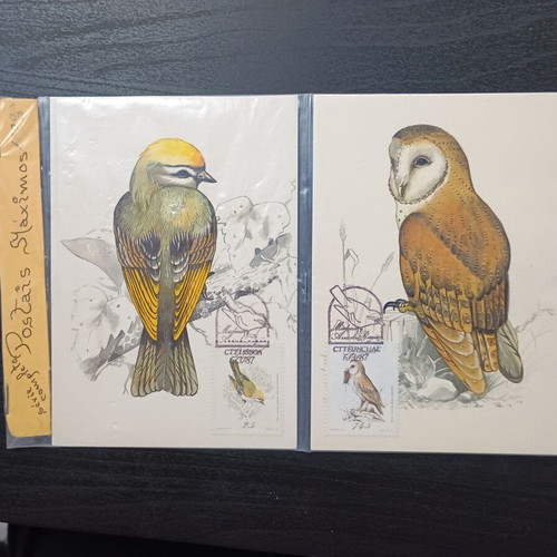 Postais Máximos Madeira Portugal maximum cards, set of 4