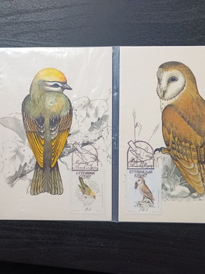 Postais Máximos Madeira Portugal maximum cards, set of 4