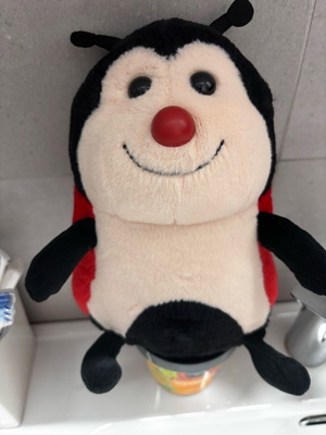 Plush ladybug new