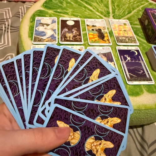 Tarot of Pagan Cats deck like new