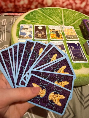 Tarot of Pagan Cats deck like new