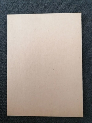 Robert Williams autograph used
