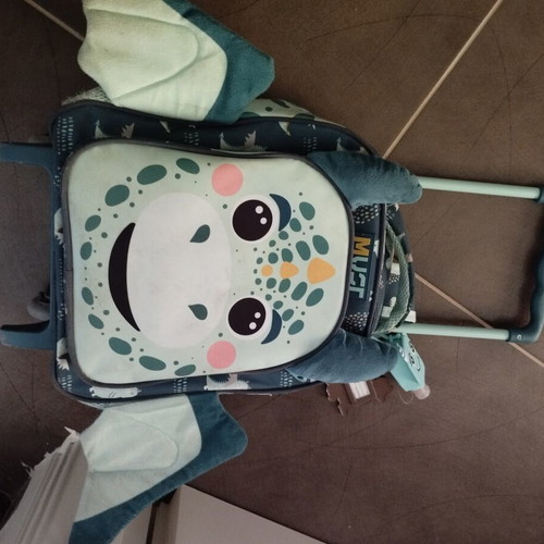 Toddler trolley bag used with minor side wear