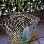 Κλουβί για ωδικά πτηνά σαν καινούργιο, 20x32x35 εκ.