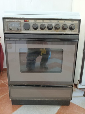 Electric stove