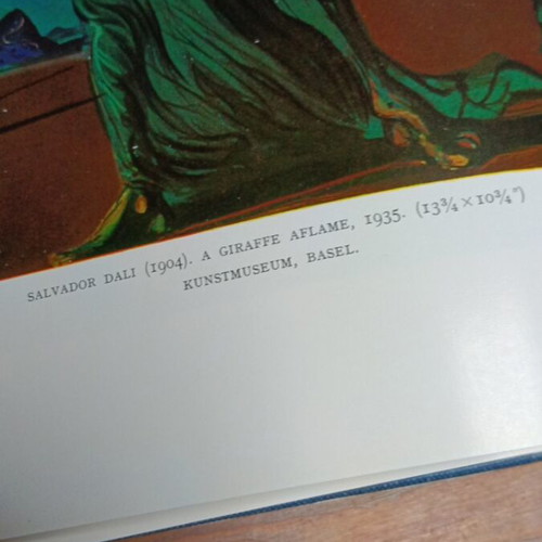 Modern Painting book used, contemporary art in English
