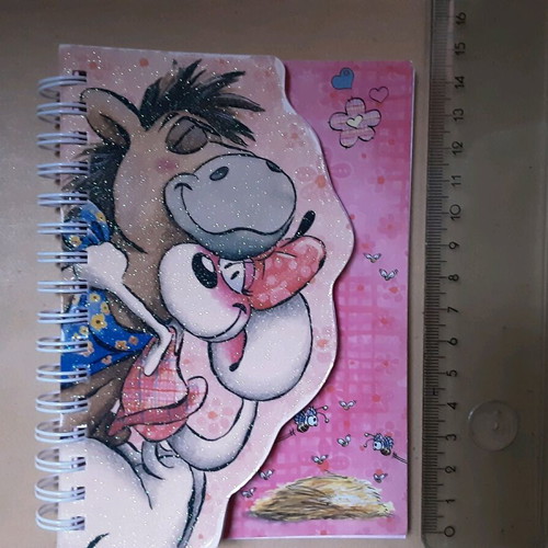 Diddl collectible notebook used