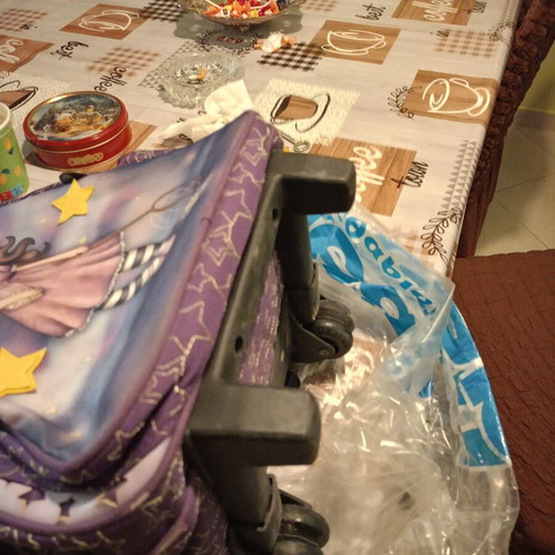 Sandoro school trolley bag used with laptop compartment