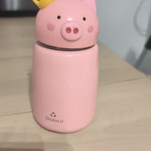 Bioloco baby thermos 300 ml used