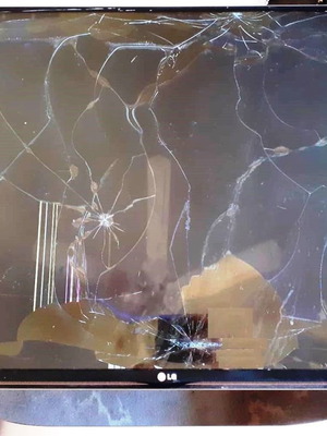 LG 42LB731V boards used for broken screen