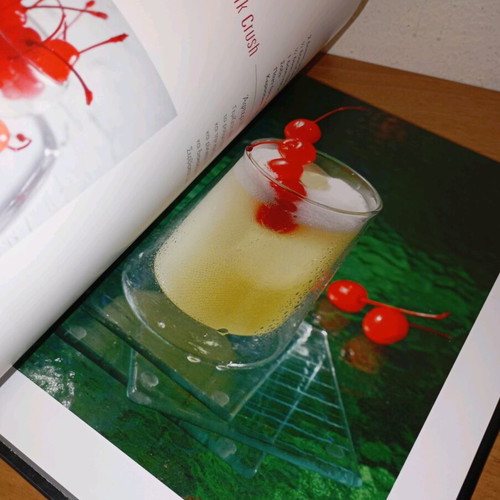 Cocktail book Fytraki like new