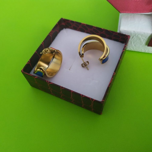 Stainless steel gold plated earrings new