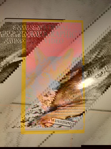 VHS, NATIONAL GEOGRAPHIC VIDEO - ΓΑΤΕΣ: ΧΑΪΔΕΥΟΝΤΑΣ ΤΟΝ ΤΙΓΡΗ (1991)
