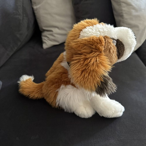 Barry Wonderful Singing Plush Dog used, Saint Bernard