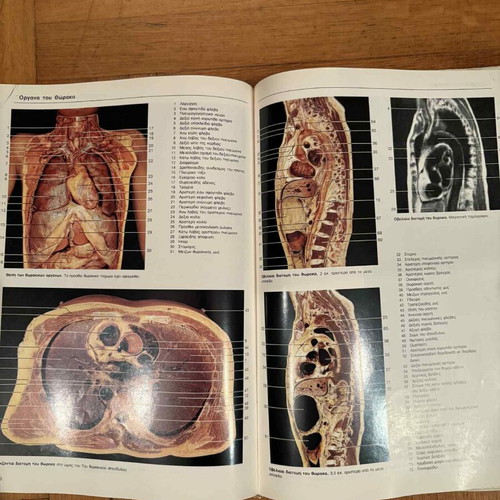 Colored Atlas of Human Anatomy used, second edition