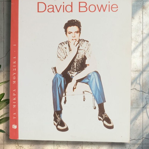 David Bowie book like new