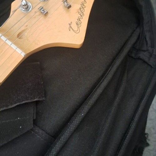 Tenson California Series guitar