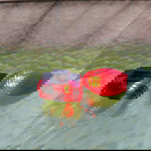 φωτάκια ποδηλάτου 2 μαζί