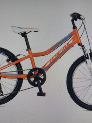 Ideal Strobe 20 kids' mountain bike, 20 inch wheels, 7 speeds, front suspension