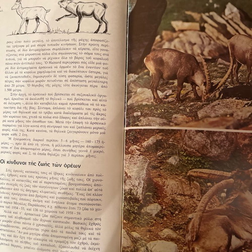 The Wonderful World of Animals used volumes 1, 2 and 5 edition 1973