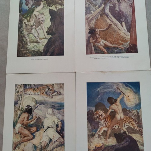 The Jungle Book Original Illustration Cards Complete Set used