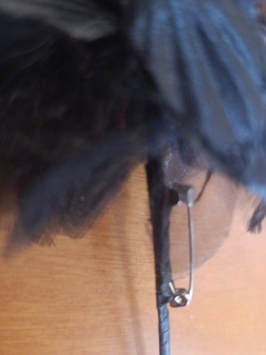 Lapel pin black used