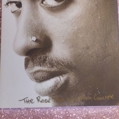 The Rose That Grew From Concrete book like new, English