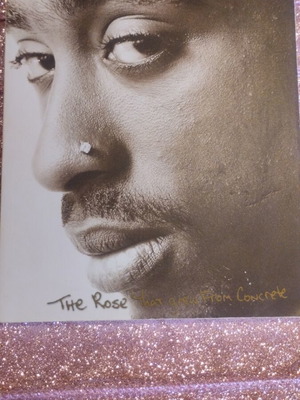 The Rose That Grew From Concrete book like new, English