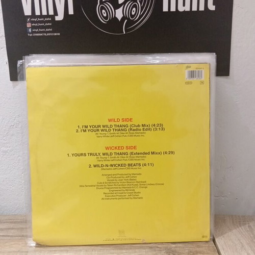 Madmado & She I'm Your Wild Thang maxi single used