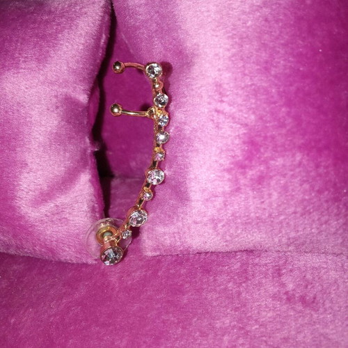 Earring for left ear new, designed to climb along the lobe