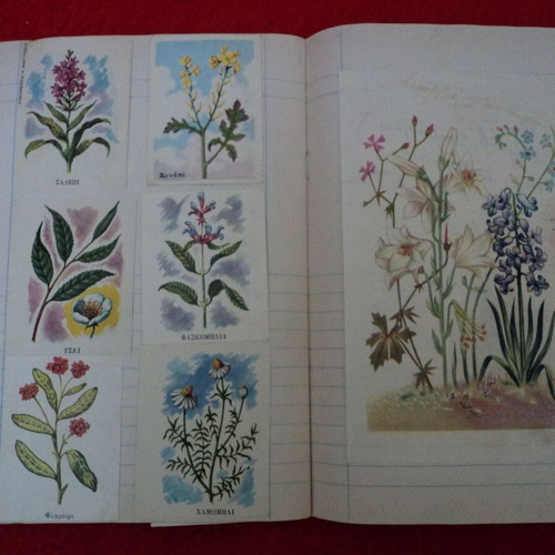 Botana tis Ellados album 1969 used with 60 cards and 3 chromolithographs