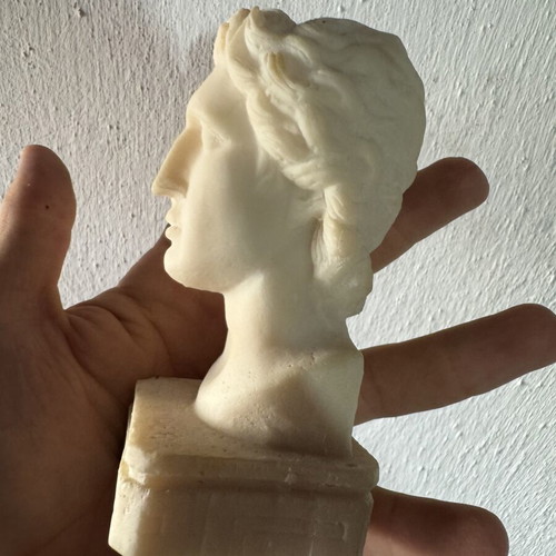 Decorative bust sculpture of Alexander the Great, hand made