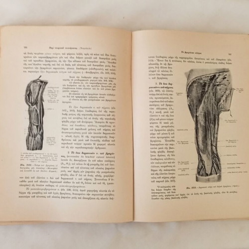 Anatomiki tou Anthropou Volume 3 Neurology & Senses used