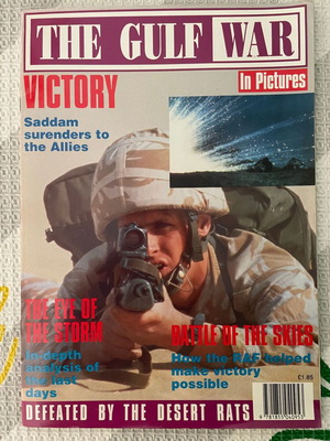 THE GULF WAR IN PICTURES