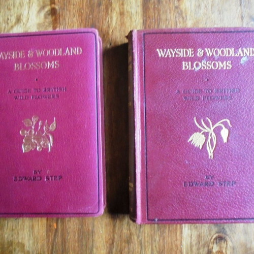 Edward Step Wayside & Woodland Blossoms Series I & II used