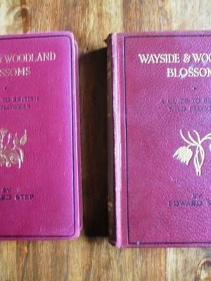 Edward Step Wayside & Woodland Blossoms Series I & II used
