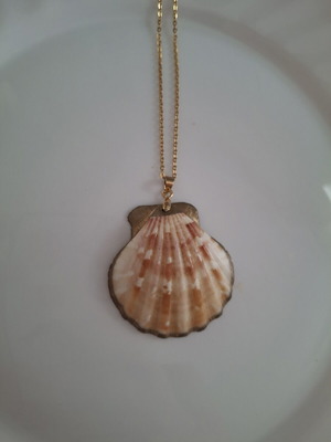 Necklace like new with shell pendant